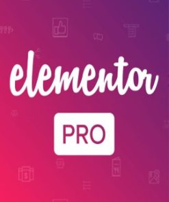 elementor-Pro-270-335